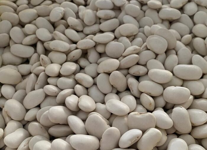 Hınıs Fasülyesi - Görsel 1